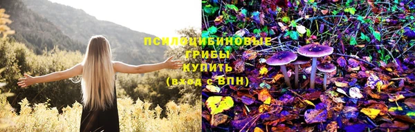амфетамин Алексеевка