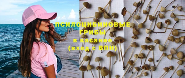ГАЛЛЮЦИНОГЕННЫЕ ГРИБЫ Алзамай