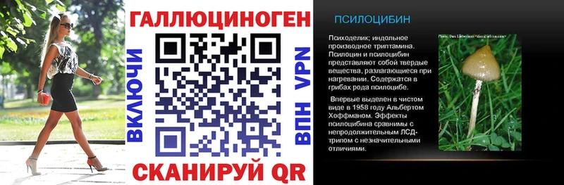 Псилоцибиновые грибы MAGIC MUSHROOMS  сколько стоит  Бирюч 